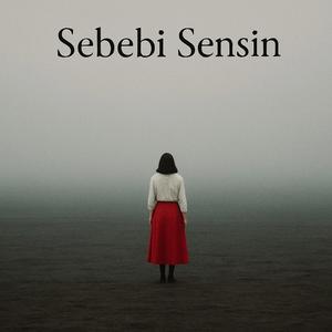 Sebebi Sensin