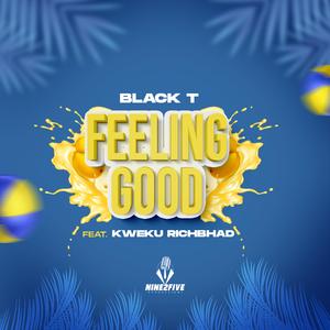 Feeling Good (feat. Kweku Richbhad) (Radio Edit)