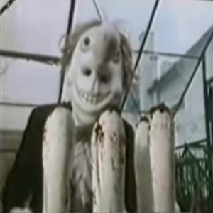 Stings in the Limelight