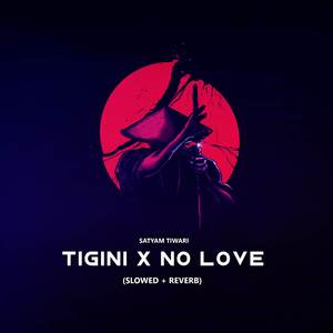 Tigini x No Love (Slowed + Reverb)