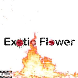 Exotic Flower
