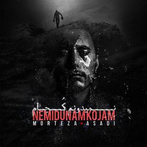 Nemidoonam Kojam