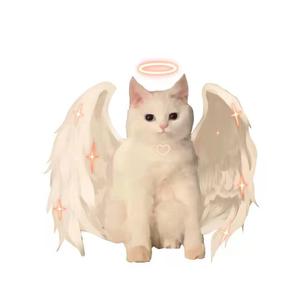 听我的歌哼我的曲