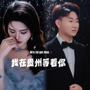 我在贵州等着你 (dj何友版)