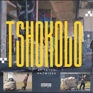 Tshokolo
