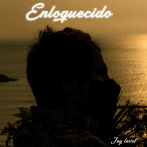Enloquecido