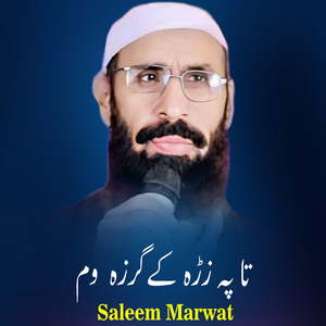 Ta Pa Zra Ke Garza Wam