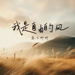 我是自由的风