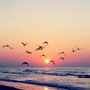 追梦——庆祝建党100周年系列歌曲