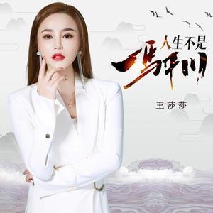 人生不是一马平川 (DJ何鹏版伴奏)