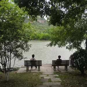 北京东路的日子（翻自 南京外国语学校学生原创毕业歌）