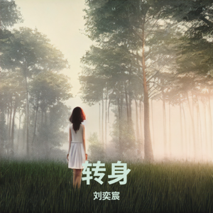 转身