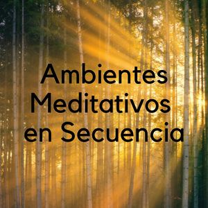 Notas y Ritmos en Continua Repetición (Secuencia Repetible)