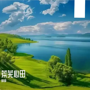 荒芜心田绽繁花