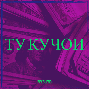 Ту кучои