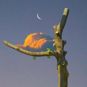 阿尔兹海默症的爱