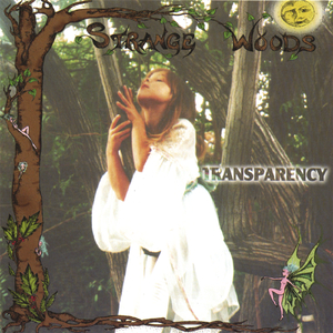 In the Company of Angels