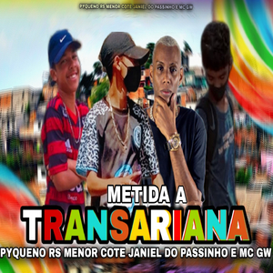 METIDA A TRANSARIANA