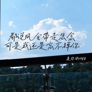 都说风会带走思念，可我还是忘不掉你