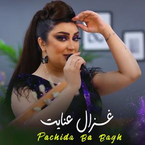 Pachida ba Bagh