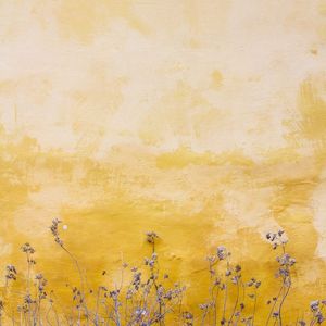 妹想到吧 嗨有一个尼