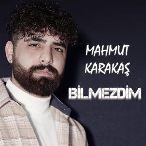 BİLMEZDİM