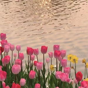 叹云兮（片段）