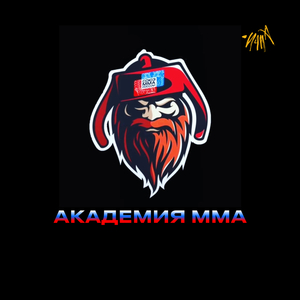 Академия ММА
