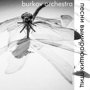 путь муравья