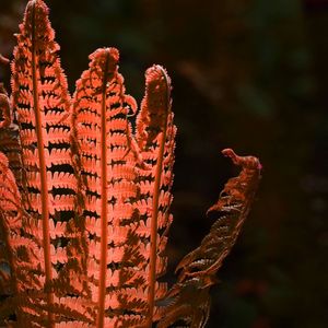 柔和的1小时水疗时刻