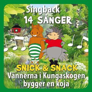 Egenskapsrapp - Singback