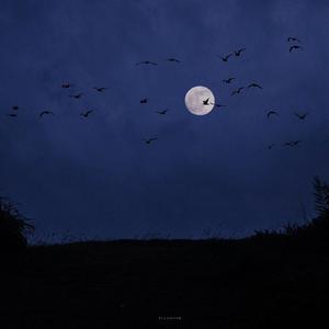 想见你想见你想见你