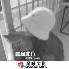 我飘向北方 (DJ版)