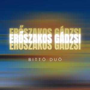 Erőszakos gádzsi