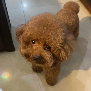 我想part2