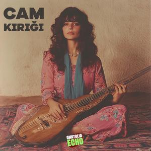 Cam Kırığı (feat. Zerrin)