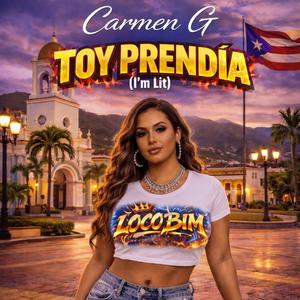 Toy prendía