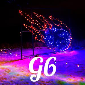 G6