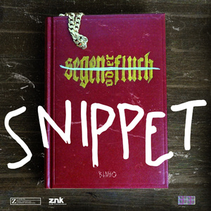 Segen oder Fluch (Snippet)