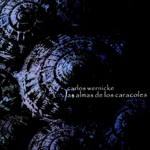 Arácnido En Tu Pelo