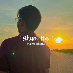 Ghum Hai