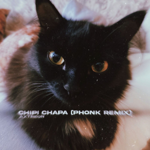 CHIPI CHIPI CHAPA CHAPA (Phonk Remix)