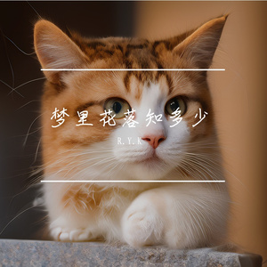 梦里花落知多少