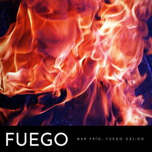 Playa Junto A La Fogata