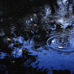 这场雨下得不明不白