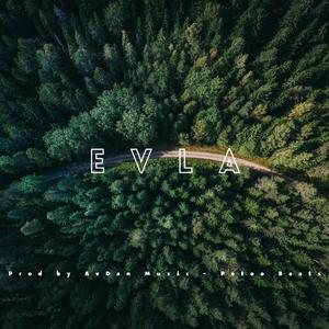 Sad Turkish Violin Beat (Evla (AvDan Music Petoo Beats)