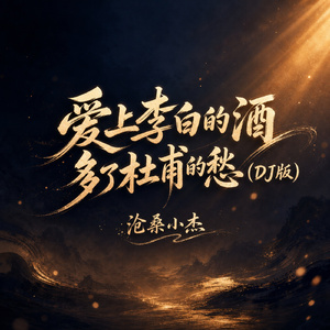 爱上李白的酒 多了杜甫的愁(DJ版)