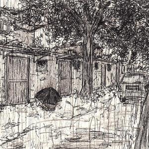 送你一朵山茶花