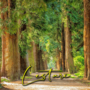 Alam Memperbaiki Diri