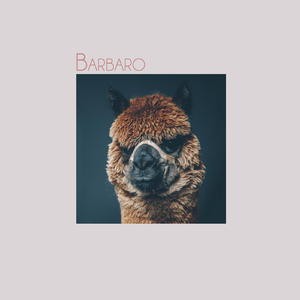 Barbaro